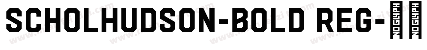 ScholHudson-Bold Reg字体转换